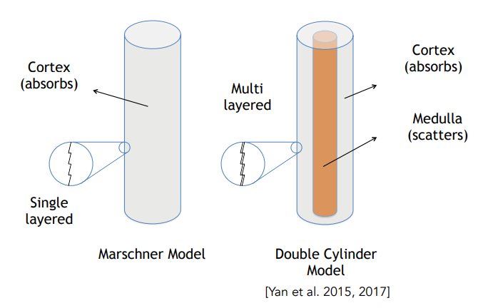 DoubleCylinderModel