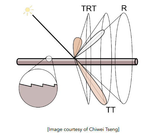 MarschnerModel