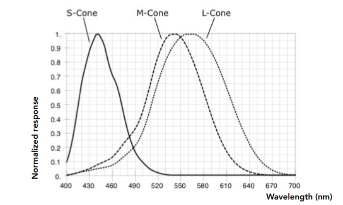 SML-Cone