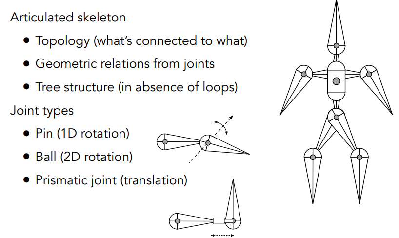 Skeleton